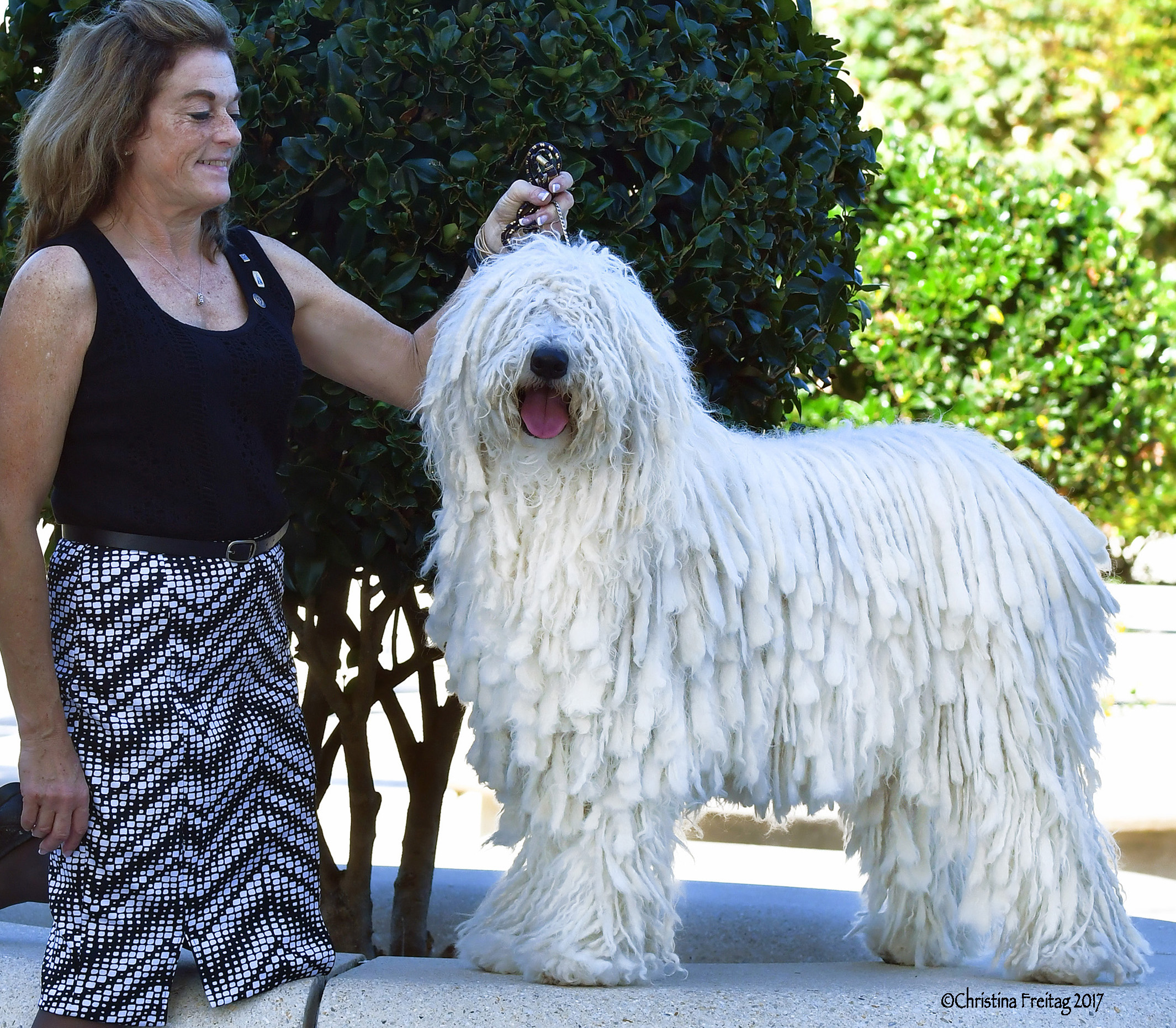 GCh. Nagylama Bbetty Boop (“Betty”)